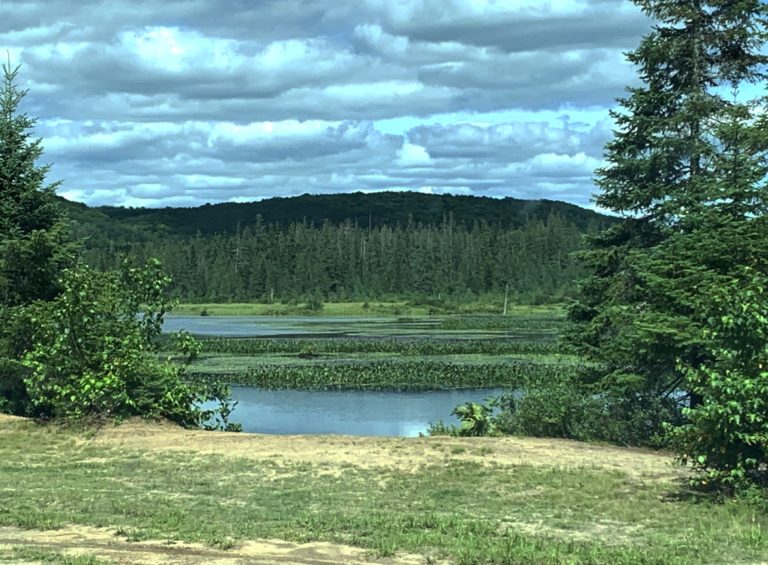 1sandhill rd 768x565