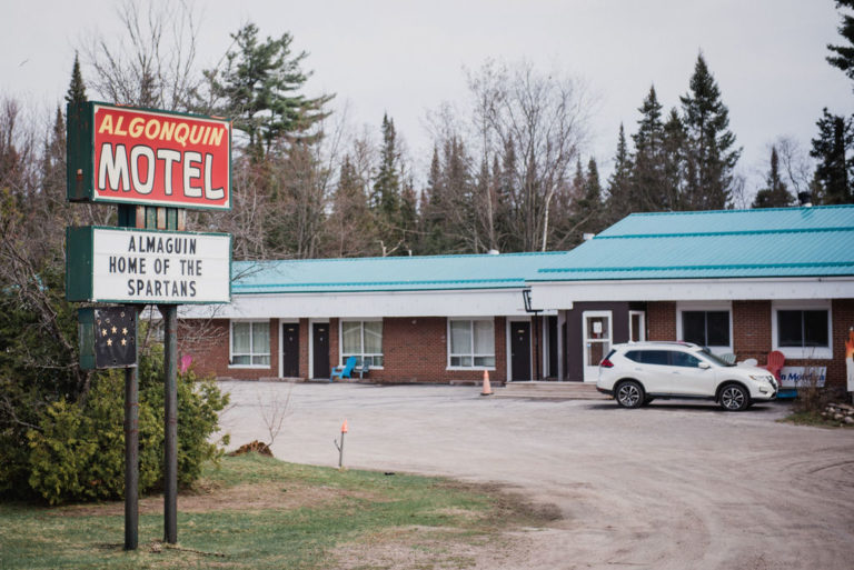 AlgonquinMotel 1 768x513