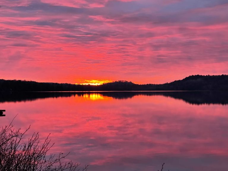 Image from iOS 768x576