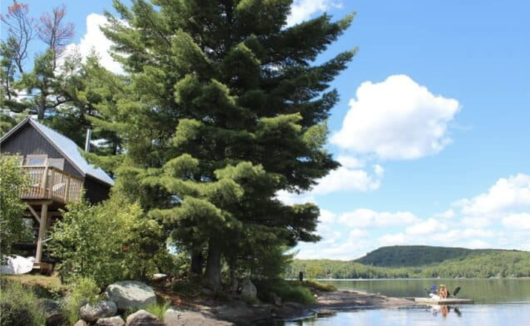 Screen Shot 2021 05 07 at 4.07.30 PM 768x473