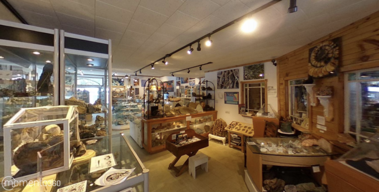 Screen Shot 2021 05 18 at 10.24.09 AM 768x391