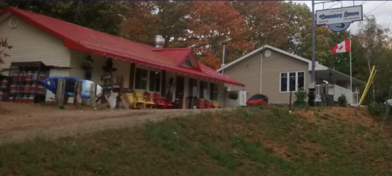 Screen Shot 2021 05 19 at 10.26.44 AM 768x346