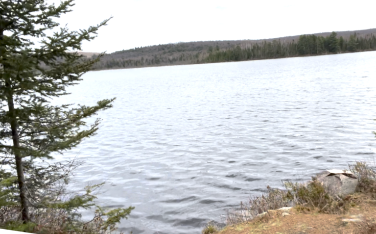 Screen Shot 2021 05 20 at 8.28.50 PM 768x477