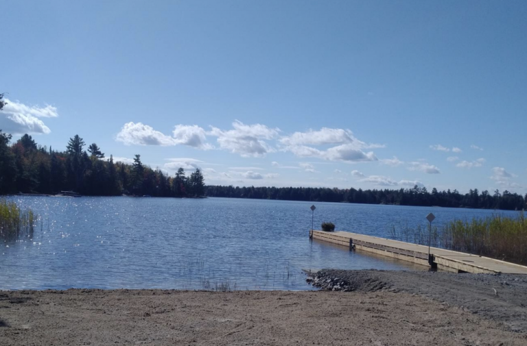 Screen Shot 2021 05 20 at 9.21.31 PM 768x505