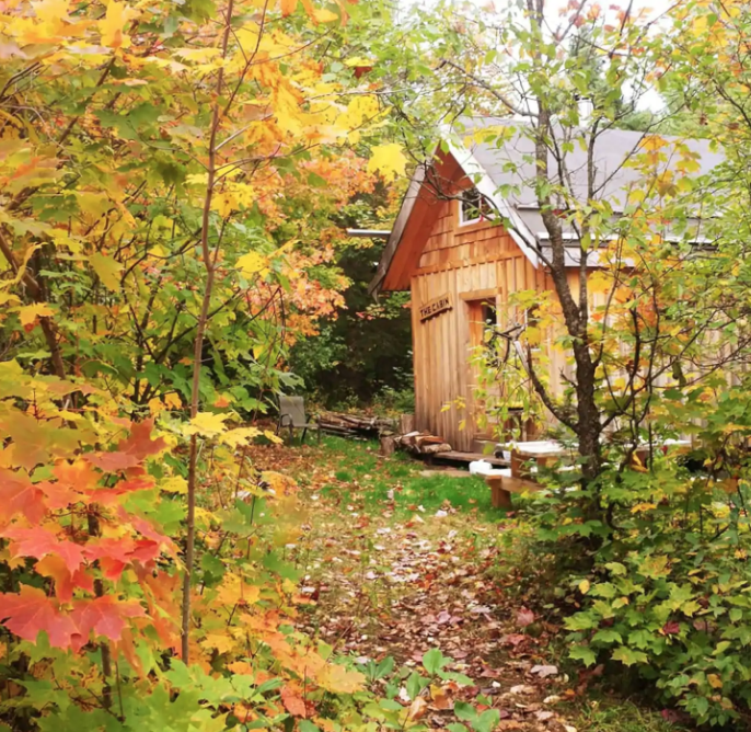 Screen Shot 2021 05 20 at 9.29.32 AM