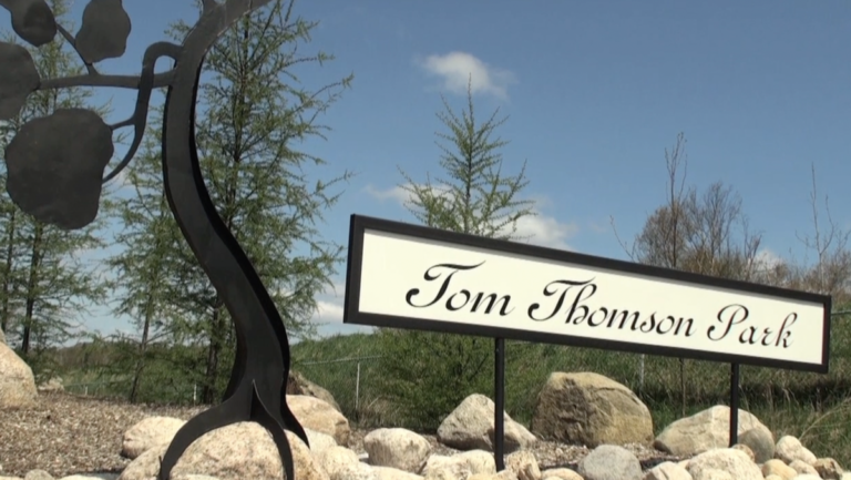 Screen Shot 2021 05 25 at 8.21.36 AM copy 768x433