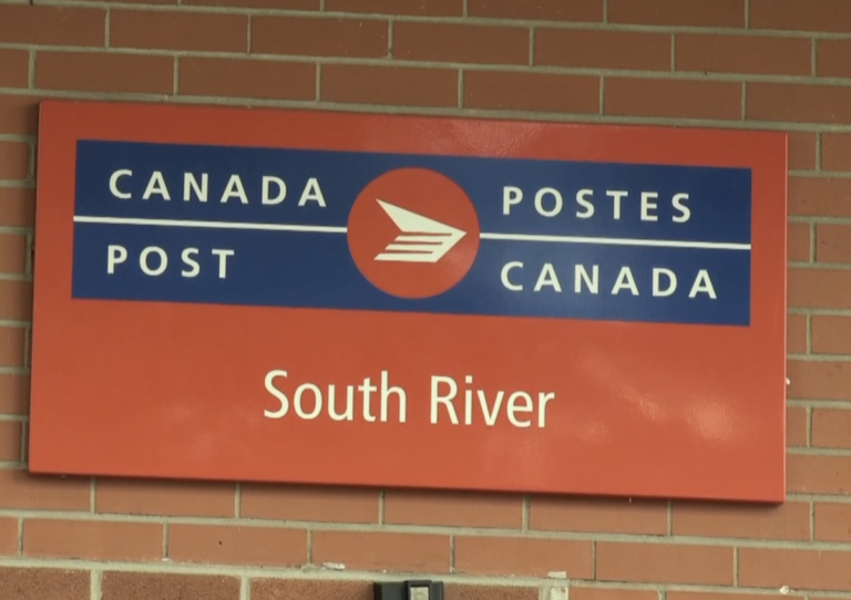 Screen Shot 2021 05 25 at 8.27.08 AM copy 768x542